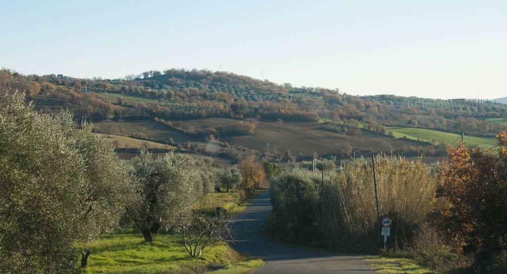 Le Casette Country House Petricci Экстерьер фото